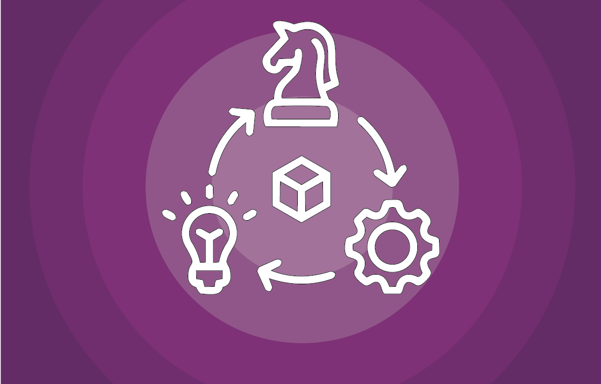 Program Strategy